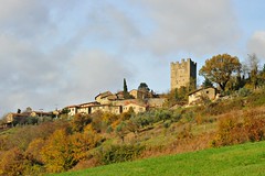Porciano di Stia, Casentino, Tuscany, Italy, November 2014 204