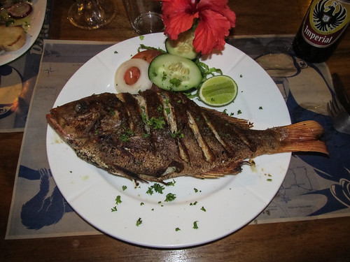 Cahuita: un poisson frais entier