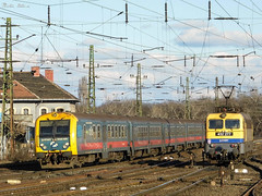 Trains - MÁV Start 8005