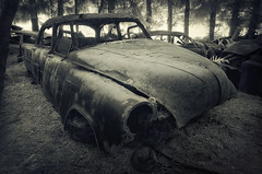 Forgotten Cars