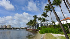 Florida 2014 - 7 - Palm Beach, Fort Lauderdale 06.12.14