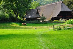 Vacation 2011 - Schwarzwald
