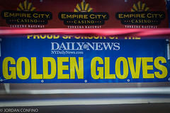 Golden Gloves 2015