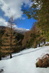 Monte Cesarotta in invernale (Monti della Laga - Abruzzo)