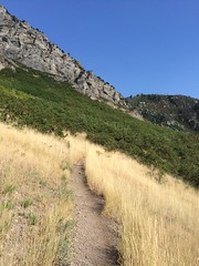 August 4, 2016 a (Y Trail/Slide Canyon)