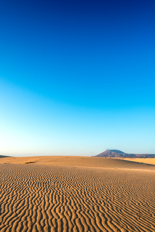 Wüste bei Corraleja Fuerteventura