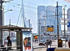 Rotterdam exit from Rotterdam