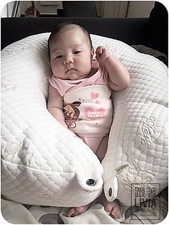 0707-GreySa格蕾莎哺乳護嬰枕 (2)