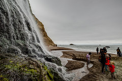 Alamere Falls - Point Reyes - May 2016