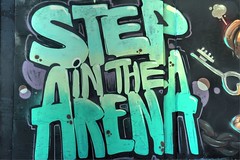 Step In The Arena 2016