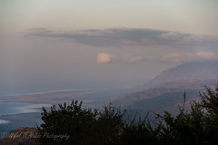 TANZANIA: Part 4 - Ngorongoro Crater and Manyara Lake