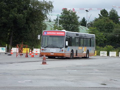 STIB-Bus-Ecolage