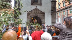 Procesión de La Burrita Domingo de Ramos Semana Santa 2015 San Telmo Las Palmas de Gran Canaria