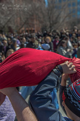 Pillow Fight NYC 2015