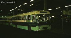 British Bus - All