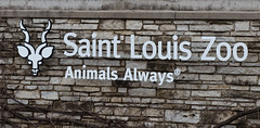 Saint Louis Zoo - Animals Always(R)