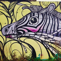 Street art/Graffiti - Sint-Niklaas (2014-2019)
