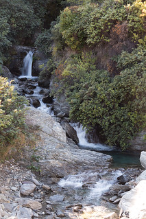 Camp Creek Falls (roadside)
