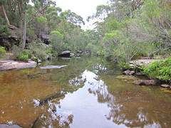 Freshwater creeks