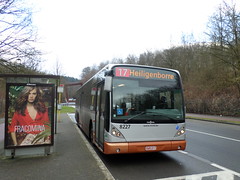 STIB-Bus-17