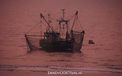 WR212 aangespoeld Zandvoort 7-4-2015