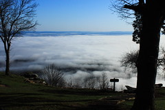 Mt Nebo State Park - March 2015