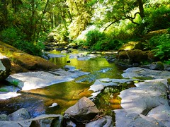 2016-08-13 Beaver Creek Falls, Lane County, Oregon