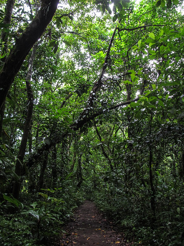 Tortuguero: balade à pied dans le Parc National