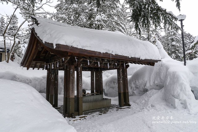 20150214米澤雪燈籠-08上杉神社-1260565