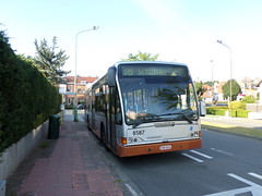 STIB-Bus-36