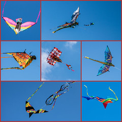 Washington DC Kite Festival