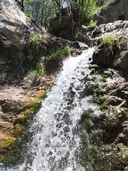 May 23, 2016 b (Battle Creek Falls Trail, PG, Utah)