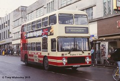 Brighton Buses