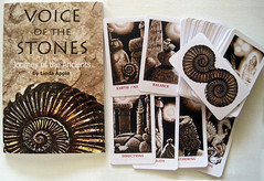 Art Books & Oracle,Wisdom Cards