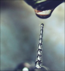 Water Drops 2015