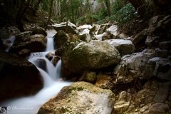 VALLE DELLE PRIGIONI e le sue acque (Parco regionale del monte Cucco - Umbria)