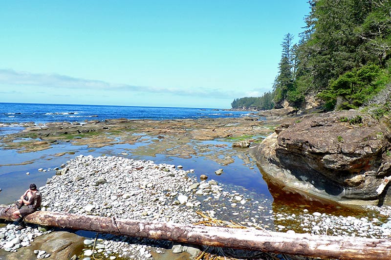 The shoreline along the West Coast Trail in Pacific Rim National Park, Vancouver Island, British Columbia