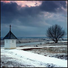 At the birthplace of S. Esenin/ Hasselblad 501 cm 