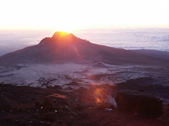 Kilimanjaro (Shira Route)