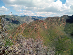 Spring Canyon