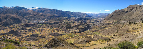 Les terrasses de la vallée de Colca