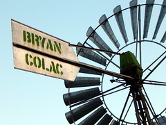 Bryan Colac Windmills