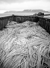 Icelandic Spaghetti