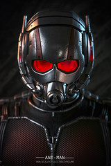 Hot Toys - Ant-Man 1/6th