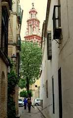 Écija (Sevilla)
