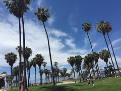 Birthday Vacation (Venice Beach)