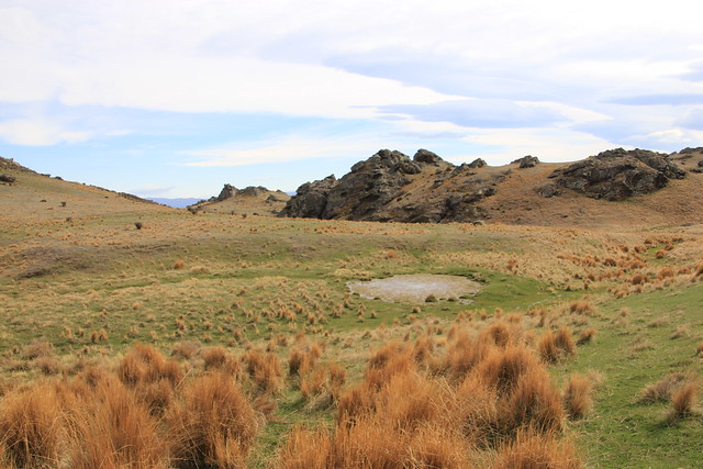 Día 17 - 16/10/15: Rohan Country (de Otago a Alexandra) y Queenstown - Nueva Zelanda, Aotearoa: El viaje de mi vida por la Tierra Media (43)