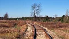 Short line railway with tree - Caledon, Peel Region, Ontario