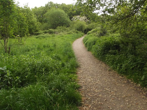 Westley Vale Millennium Green - Acocks Green - path