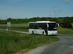 Bus and Coach Temsa